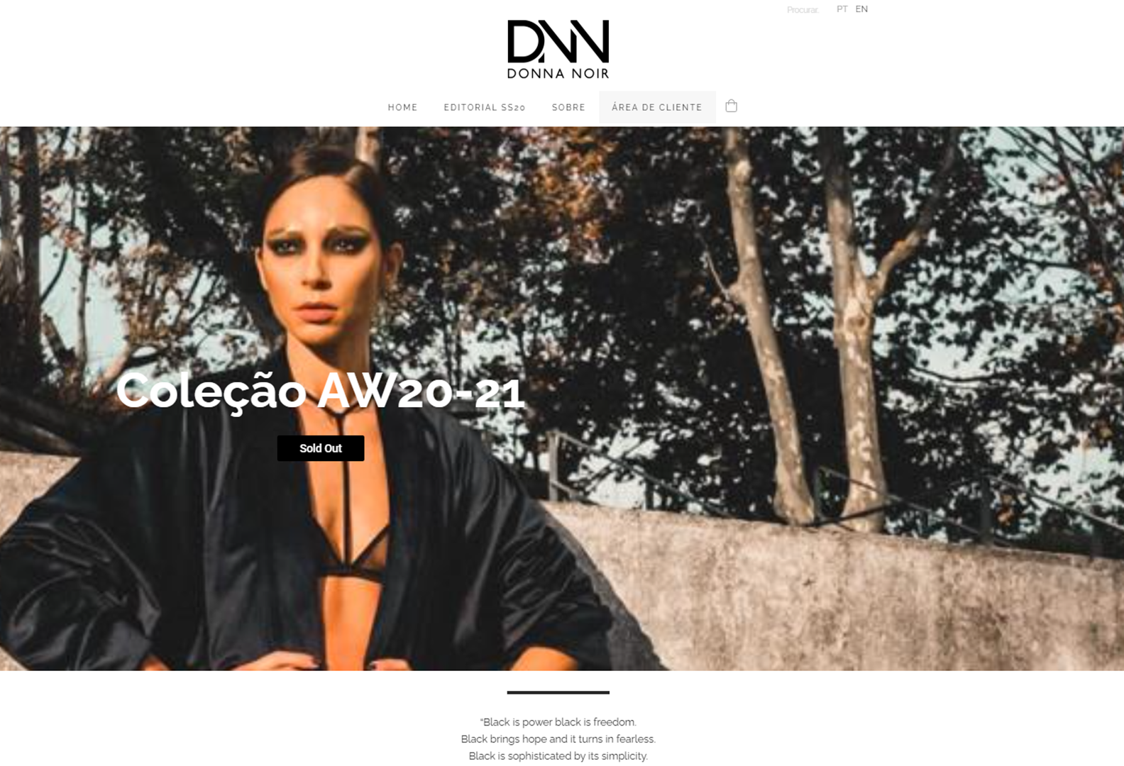 DNOIR website overview